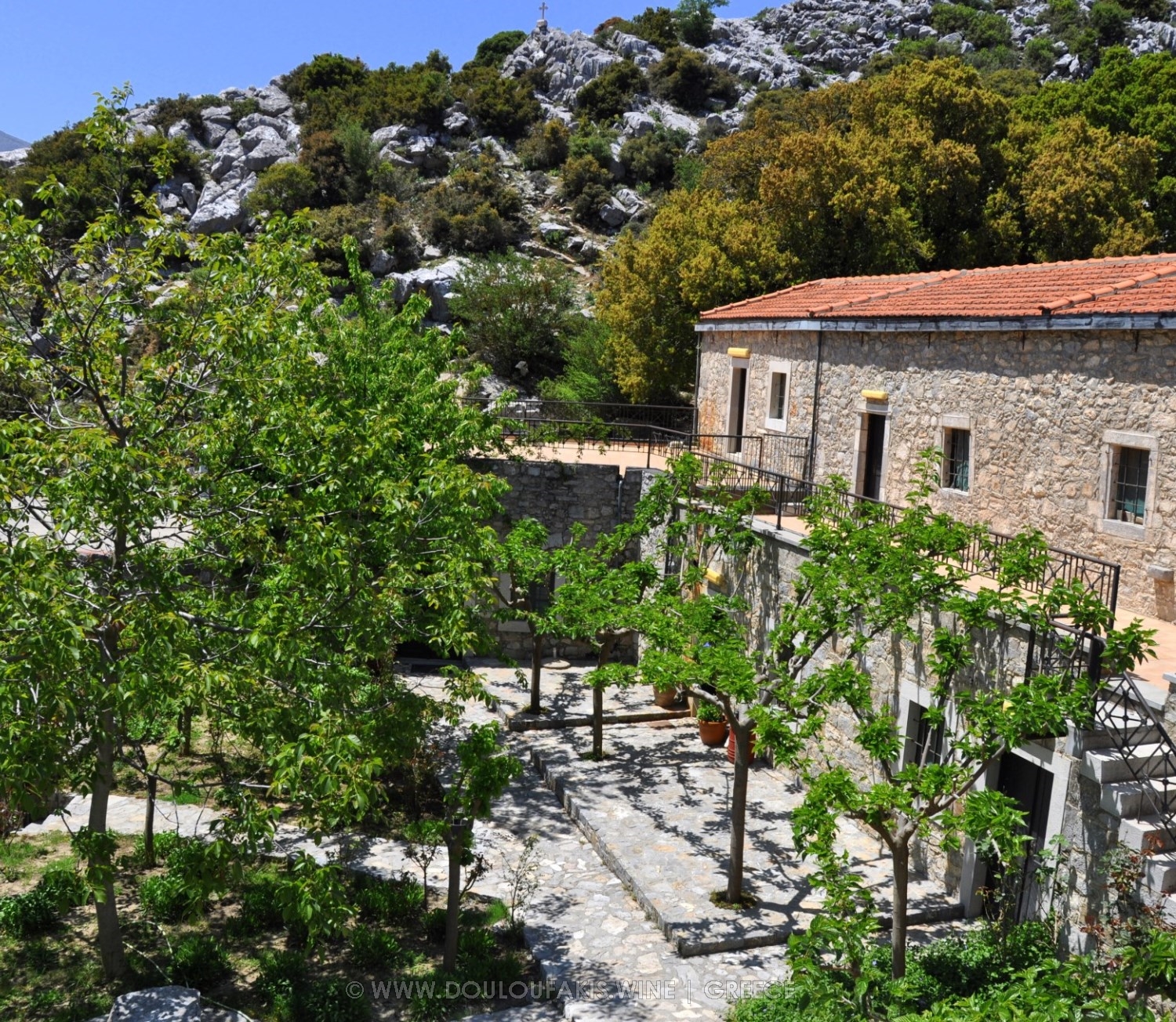 Η ιστορία της κρητικής ποικιλίας σταφυλιού Βιδιανό