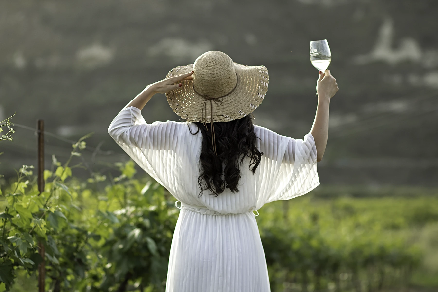 EUPHORIA WINE TASTING at Douloufakis Vineyards