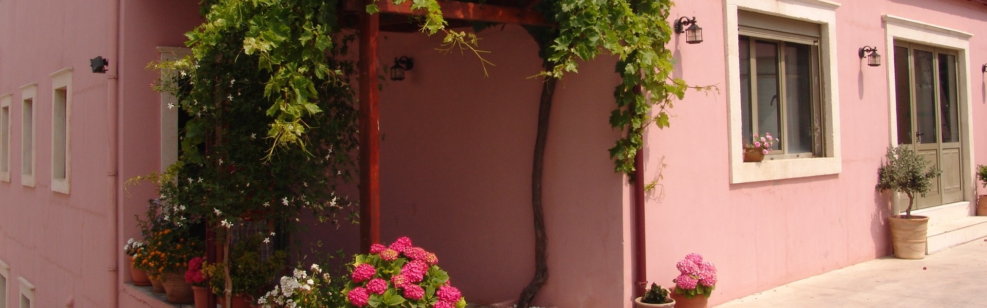 Photos of Douloufakis Winery Facilities in Dafnes, Crete, Greece