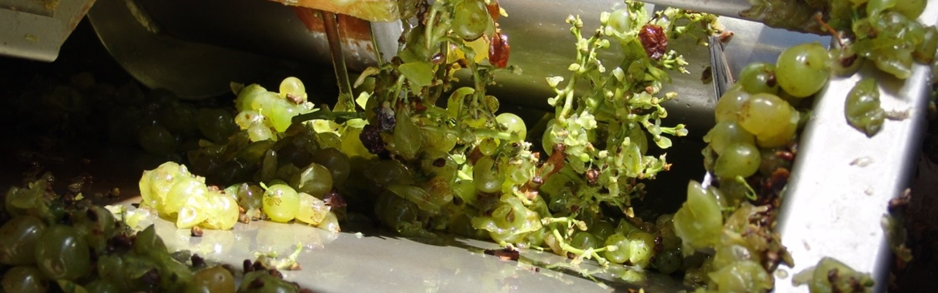 Photos Douloufakis Winery Vinification at Dafnes, Crete, Greece