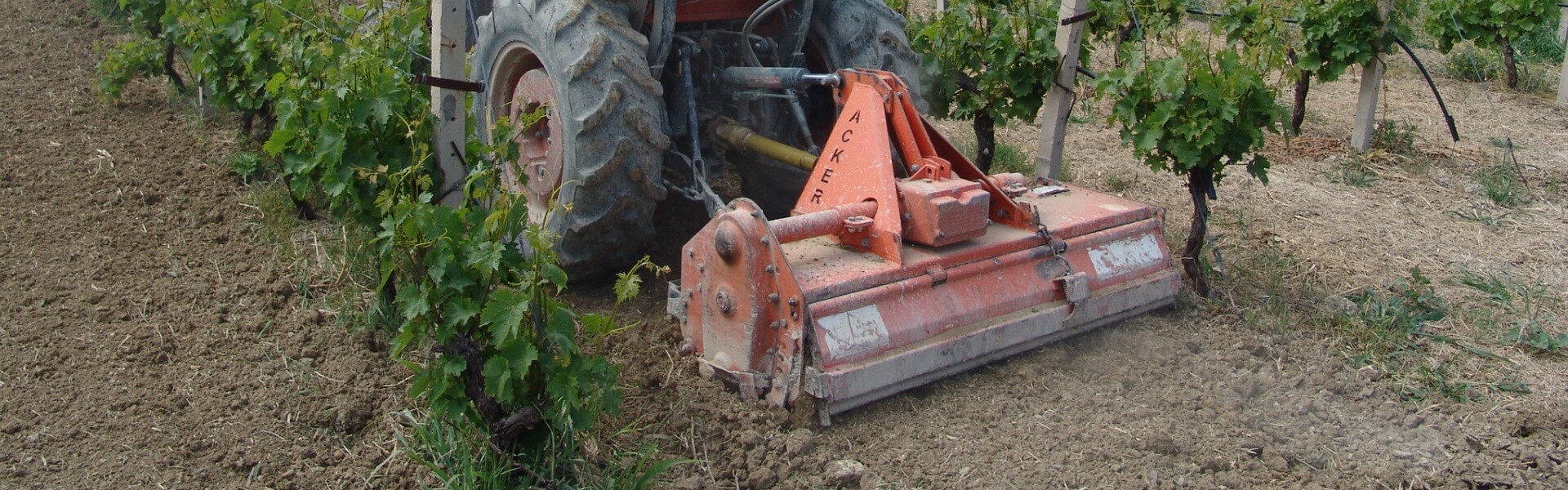 Fotos Weinbergbearbeitung Kreta Griechenland