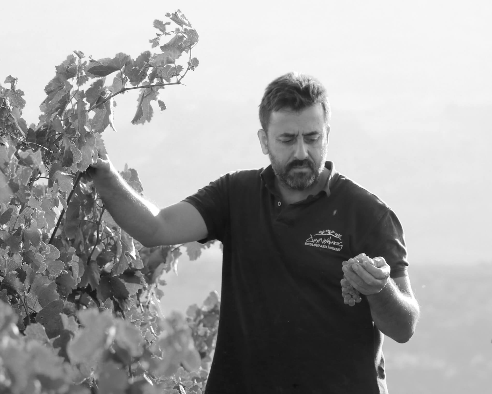 Νίκος Δουλουφάκης Οινοποιός από τις Δαφνές Ηράκλειο Κρήτης