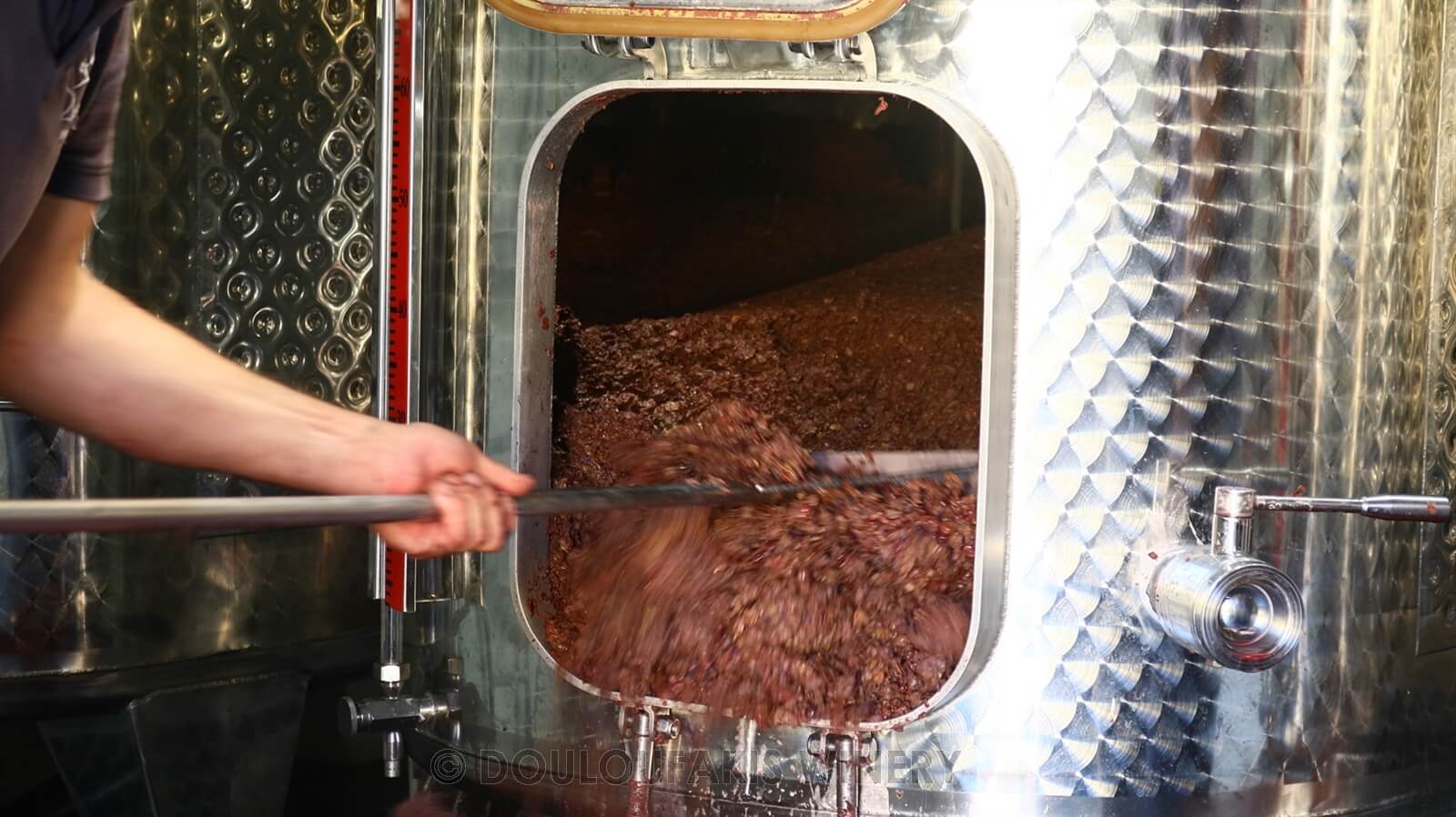 Vidiano and Liatiko vinification 2019