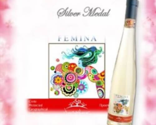 2017 - Silver medal for Femina in Japan